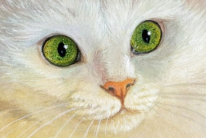 Magic White Cat / 210125